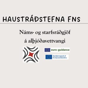 Aðgöngumiði á Haustráðstefnu FNS 2026 + kvöldmatur